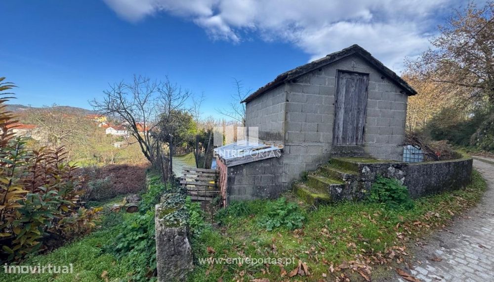 Venda Terreno, Cinfães, Cinfães