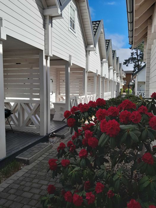 Domki letniskowe wynajem Międzywodzie 150 m od plaży