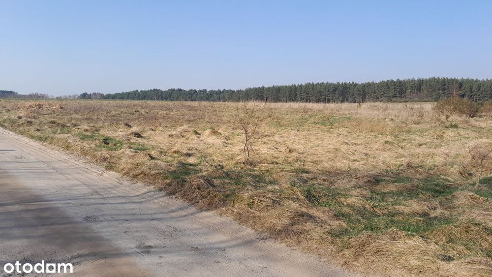 Działka budowlana Sasino, MPZP, ul. Stara Cegielnia / Na Wzgórzu - Widok 3