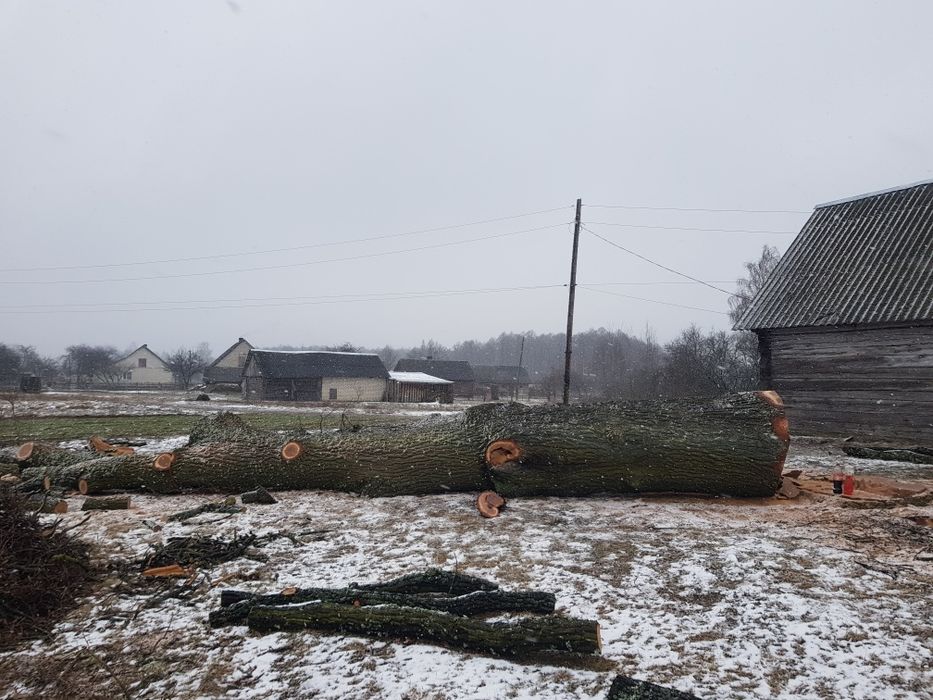 Продам дуба, комлеву частину, ціна вказана за цілий кусок, не за куб