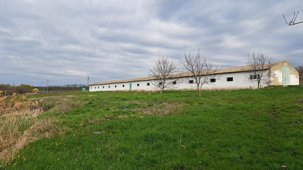 Продається земельна ділянка сільськогосподарського призначення(ОСГ) площею 2.7946га разом із капітальним приміщенням ферми.