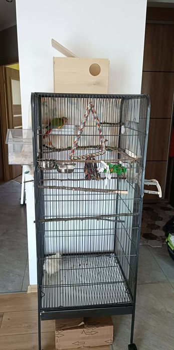 Klatka dla papug