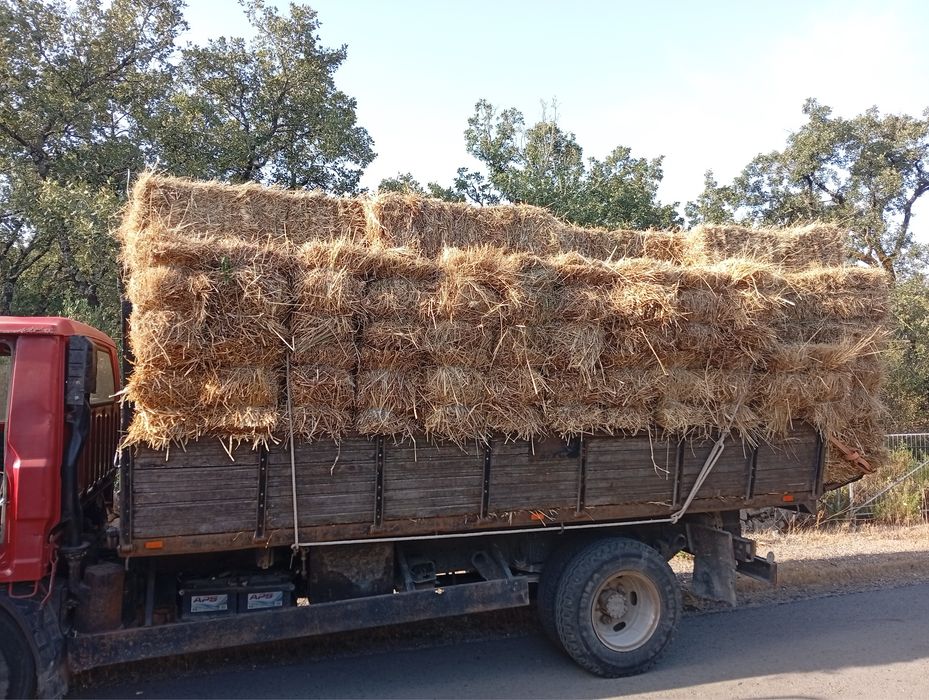 Vendo fardos de palha