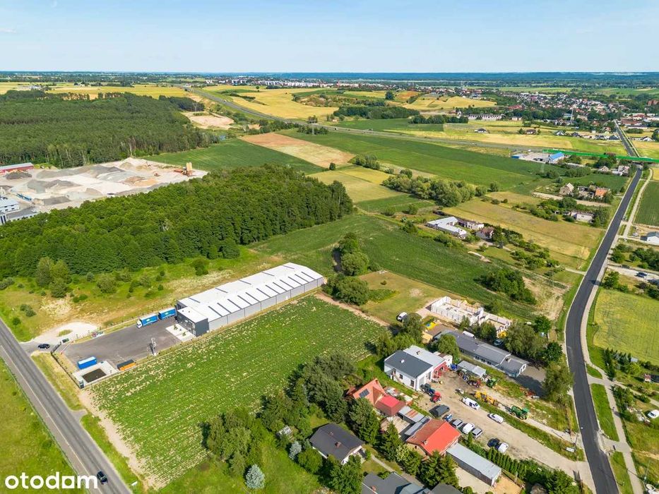 Działka inwestycyjna pod Świeciem - Widok 5