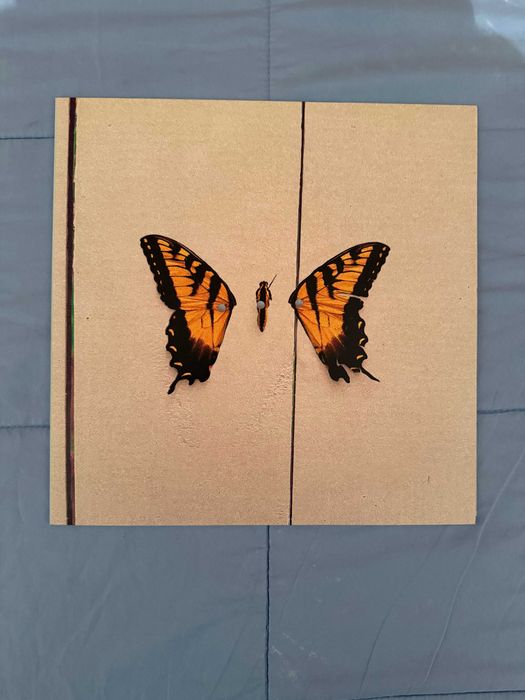Paramore Brand New Eyes Vinil