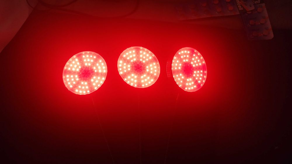 Lâmpadas LED 150W Vermelha e Azul com Regularizador - Alta Potência