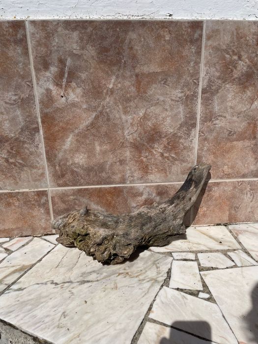Madeira para Terrário/Aquário - Mais informações dm