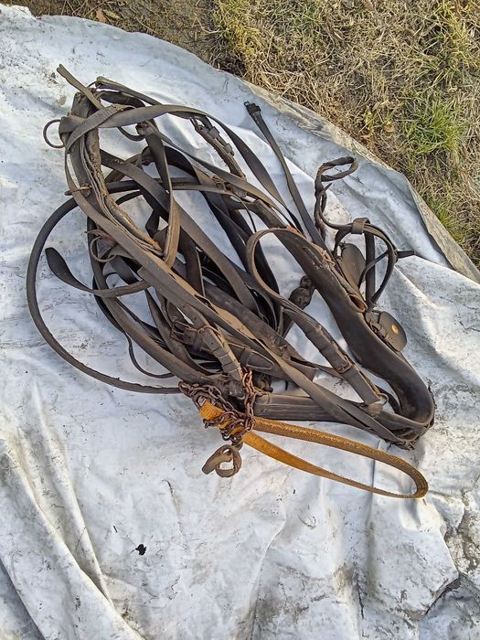 Uprząż puszorek do konia