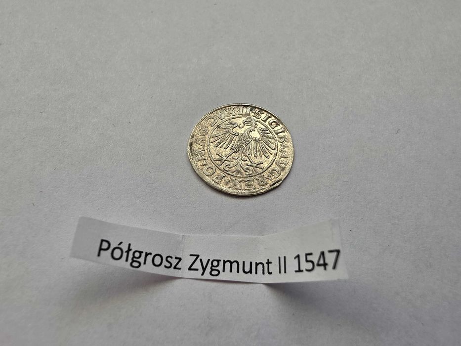 Półgrosz Zygmunta II Augusta