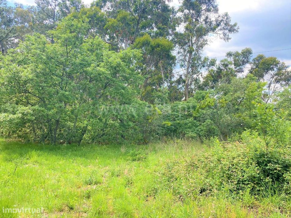 Terreno com ruina / Marco de Canaveses, Soalhães