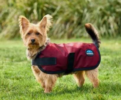 Водонепроникне пальто для собак weatherbeeta