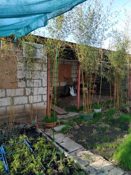 (4)  дом  на ул. Макарова в Черноморке