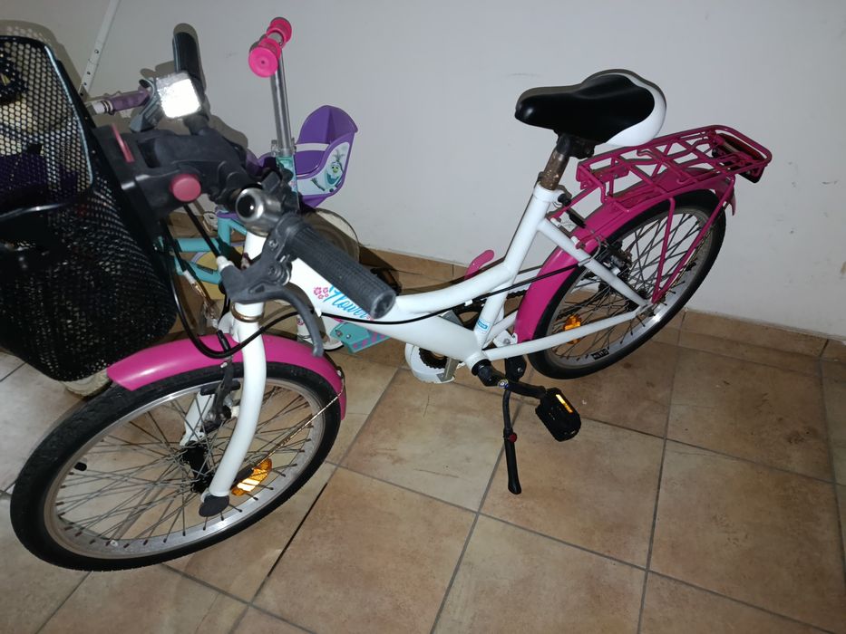 Desde o 1º até ao 11º ano de idade