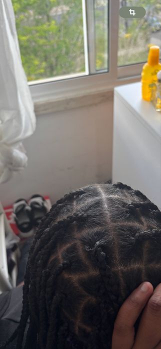 Tranças da lulu . Valor maximo 20€