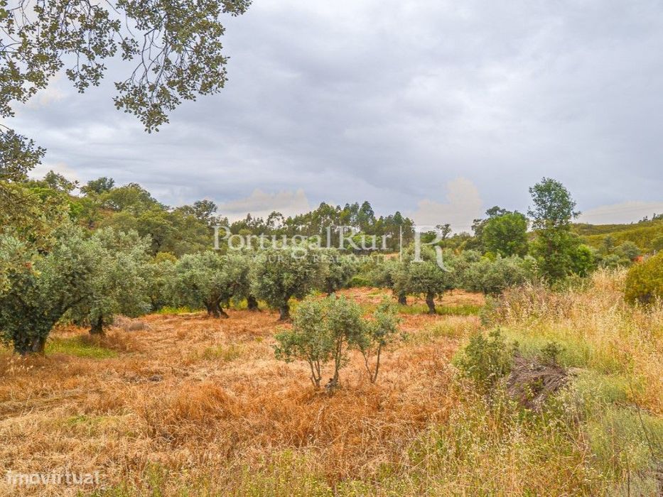 Terreno de 34.220m2 com ruínas no Fratel