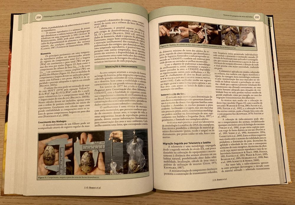 ORNITOLOGIA E CONSERVAÇÃO - TÉCNICAS DE PESQUISA E LEVANTAMENTO