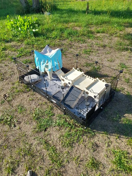 Klatka kojec dla królika, świnki morskiej