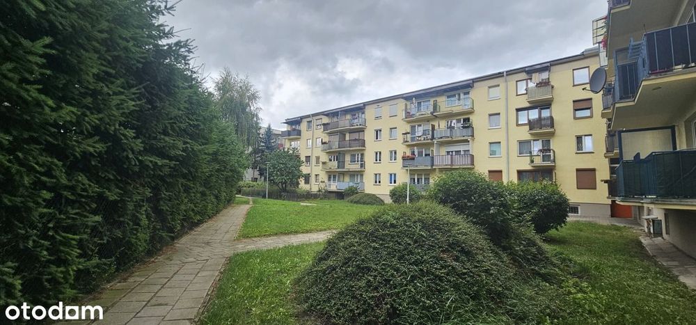 3 pokoje/I piętro/Nowa kuchnia/Świetna lokalizacja/Kalisz Wyszyńskiego