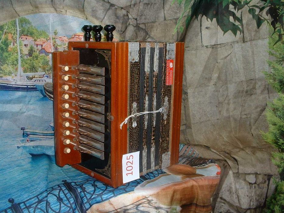 Promoção de Acordeões de concertinas