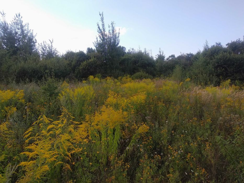 Земельна ділянка, 10 сотих, зручний заїзд із шоссе, 6 хв до міста _RR