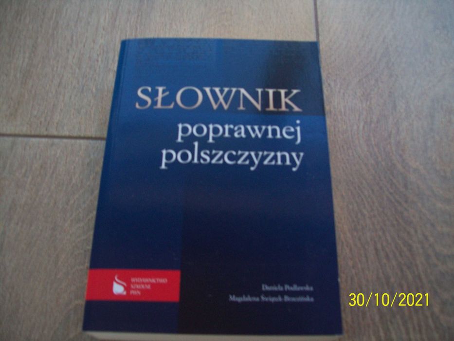 słownik poprawnej polszczyzny PWN - stan idealny
