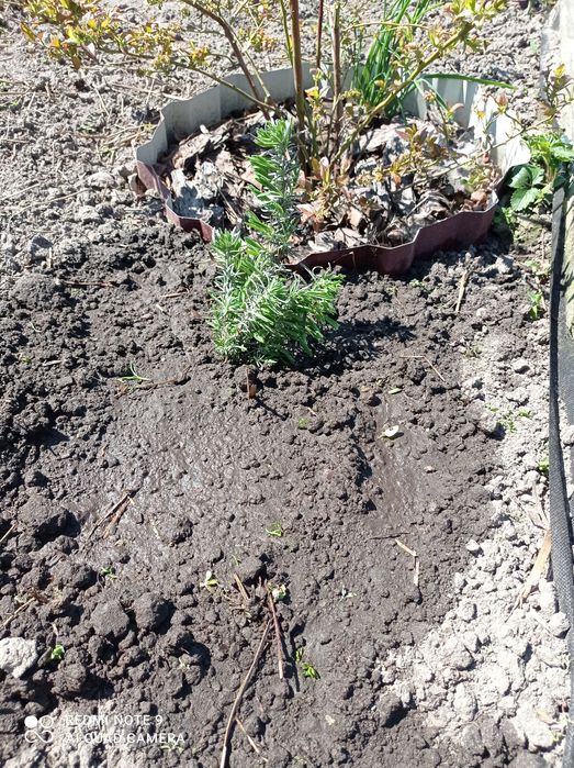 Земельна ділянка під забудову