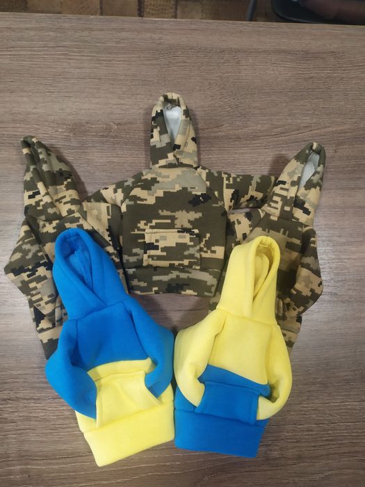Худи на КПП   Худі