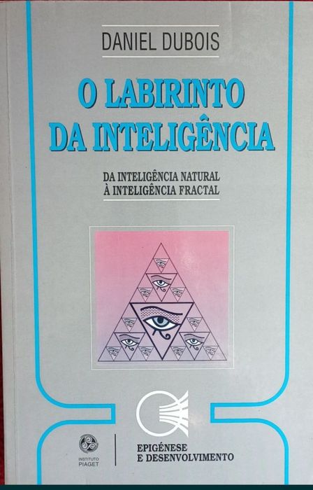 Inteligência O Labirinto