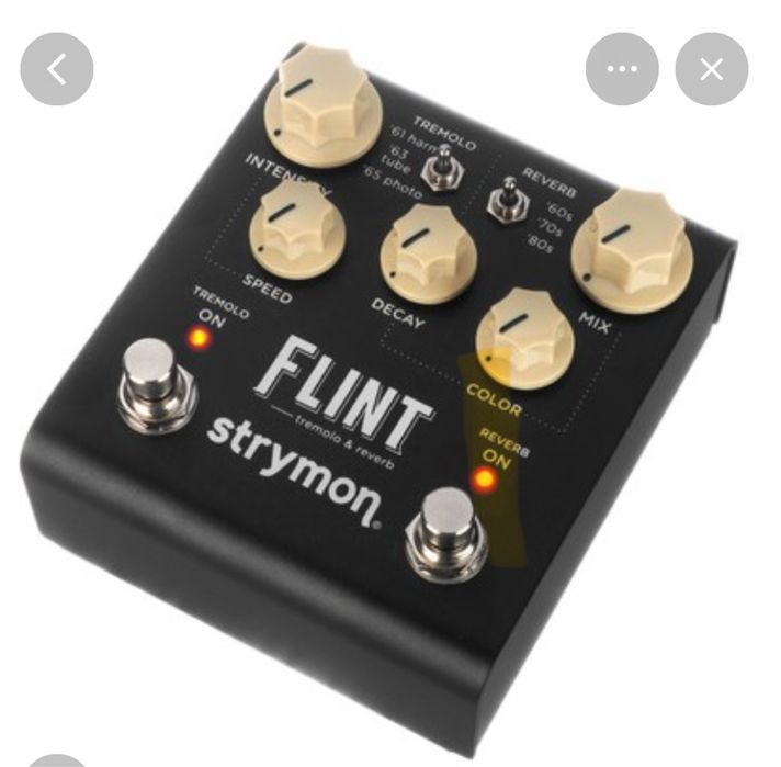 Strymon Flint v2