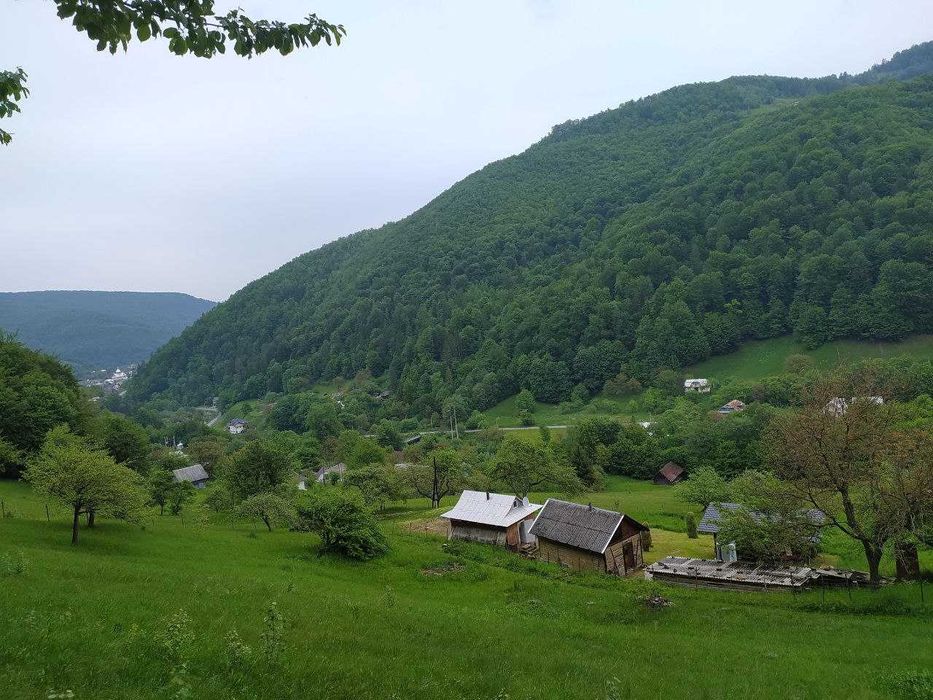 здаються будиночки в Карпатах з краєвидом