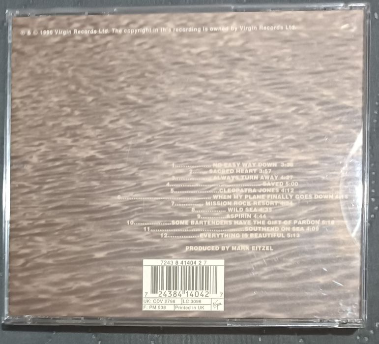 Mark Eitzel "60 Watt Silver Lining" (autografado) RARO425653316082083842