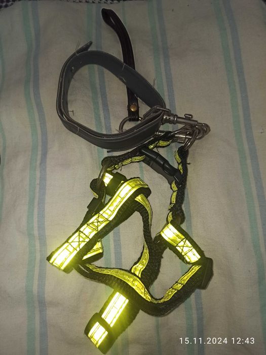 клетки с колесом для  хомячков, поводки, шлея, ошейник для собак, кота