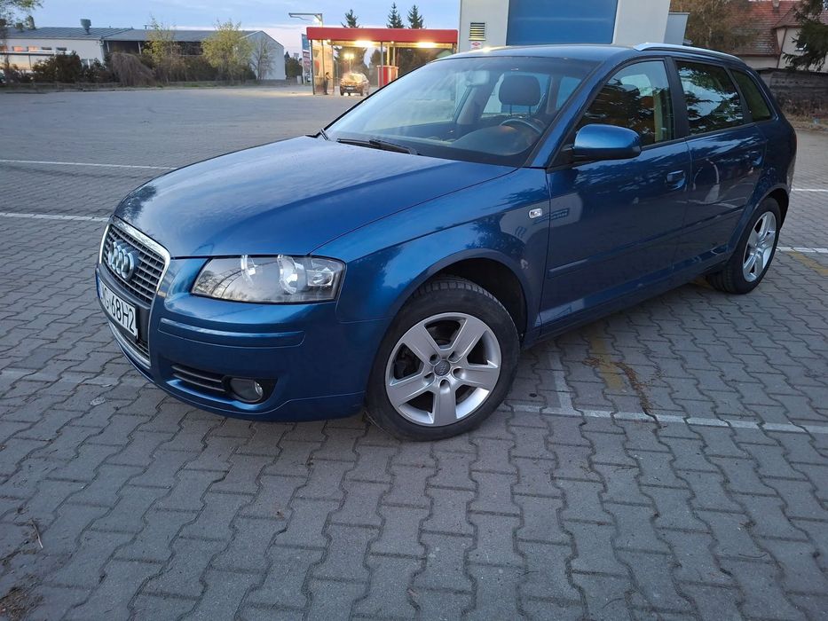Audi A3 Sportback Audi a3 1.9tdi 2006r
