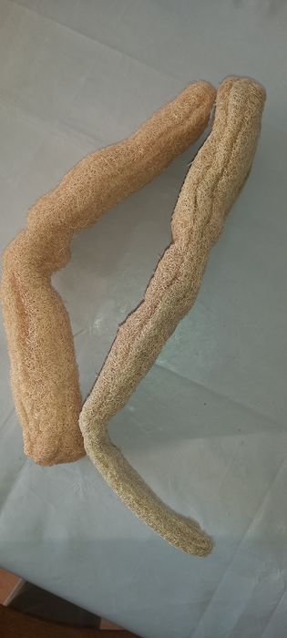 ESPONJAS Naturais do Mar Egeu