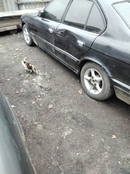 Продам запчастини бмв е34