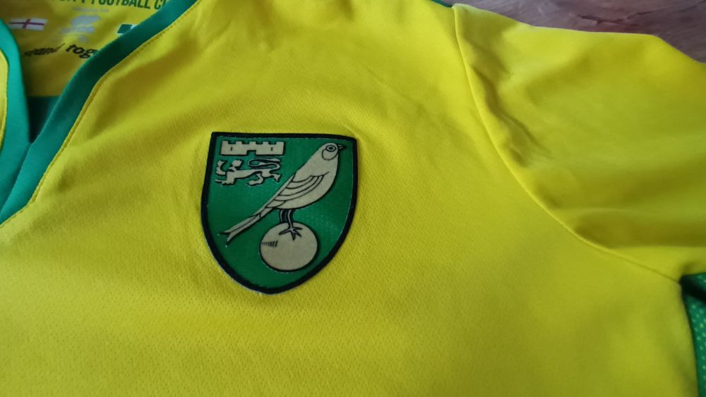 Norwich City 2016-17