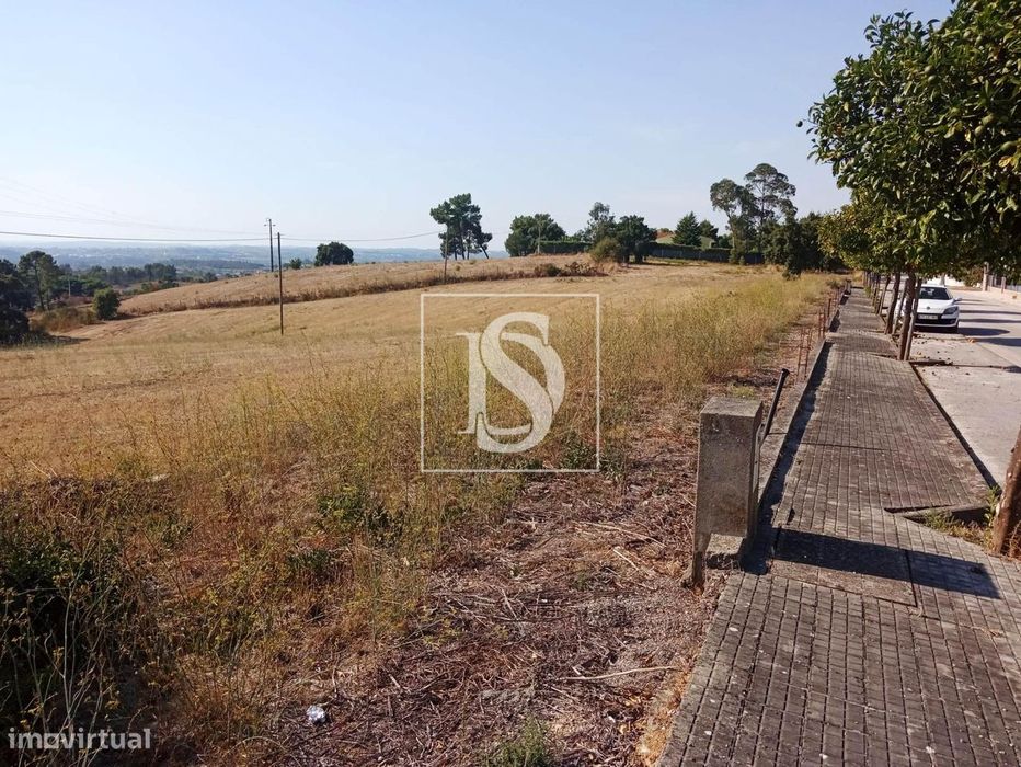 Terreno  Venda em São Pedro de Tomar,Tomar