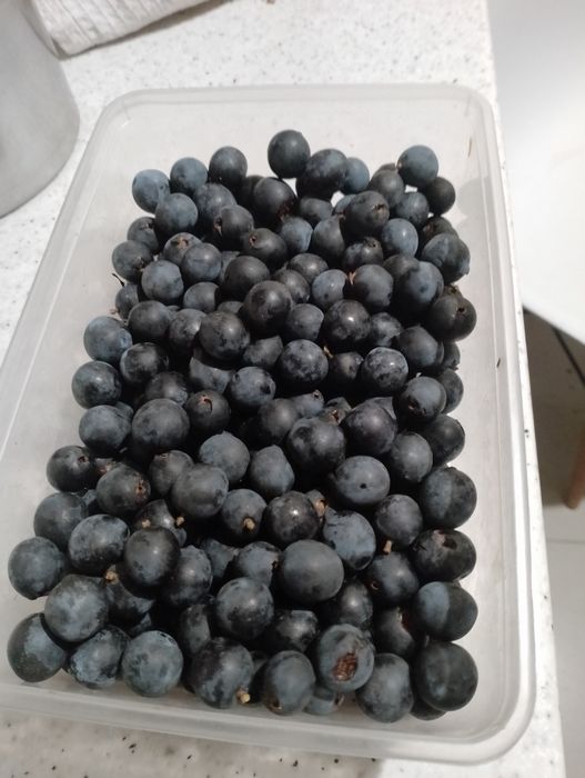 Tarnina 2 kg Polecam