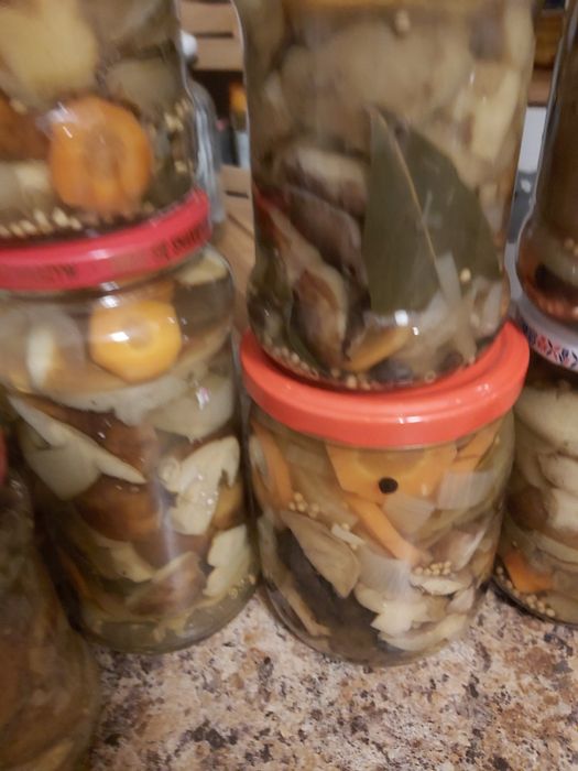 MARNOWANE w occie grzybki--13sztuk