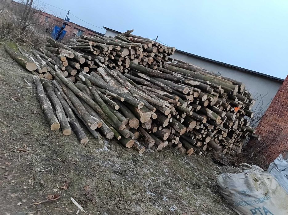 Drewno twarde wałki buk, dąb , jesion