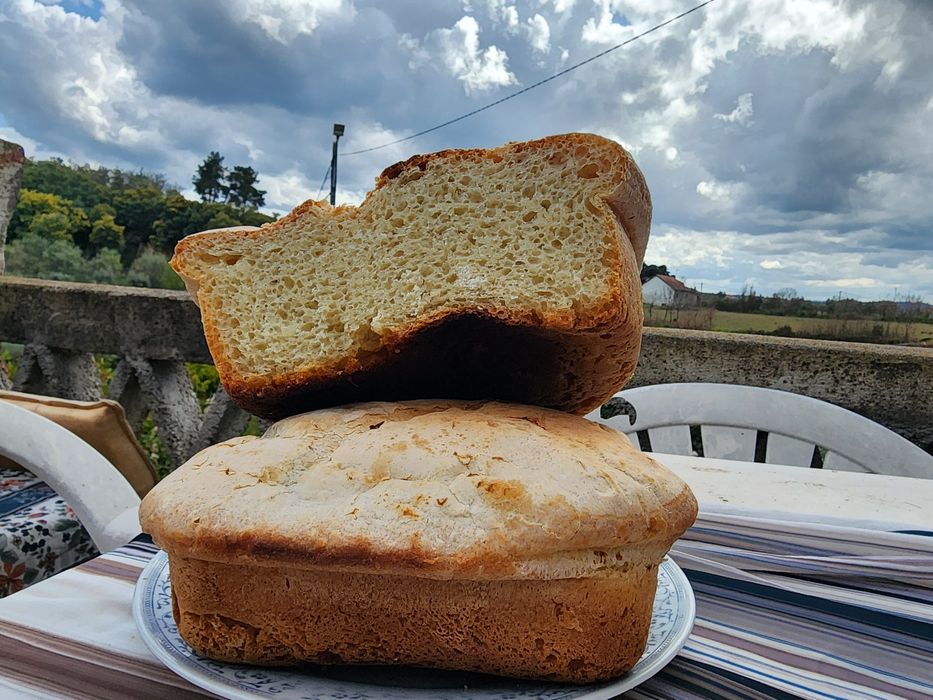 Pão faraónico egípcio natural e delicioso