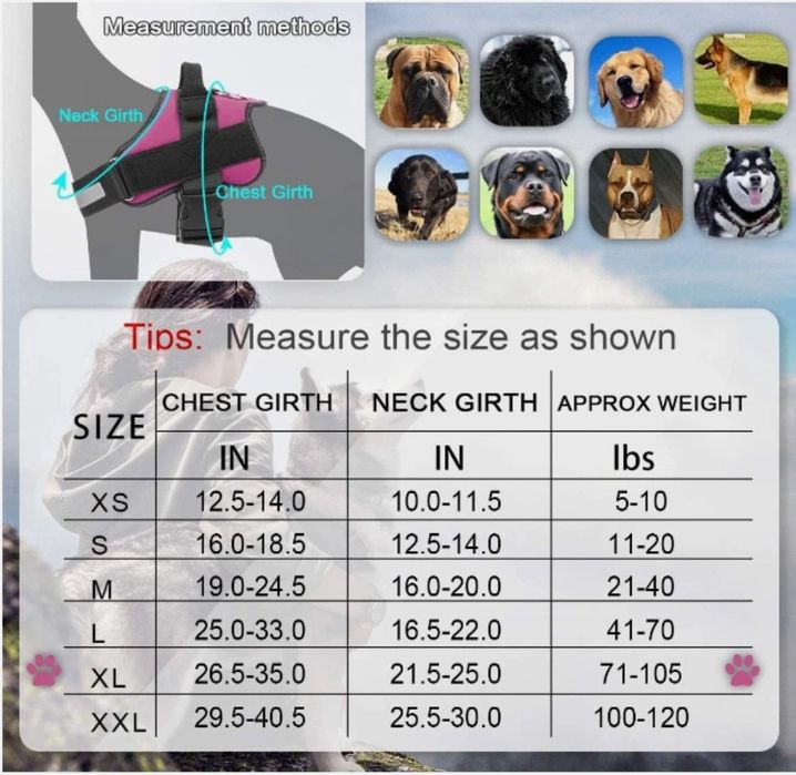 Шлейка для собак Bolux.