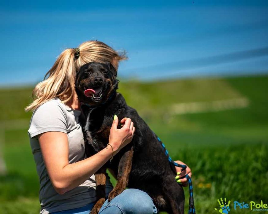 Cent aktywny, wesoły, kontaktowy psiak szuka domu