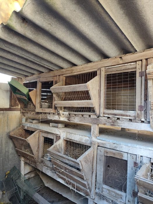 Терміновий продаж будинку біля лісу