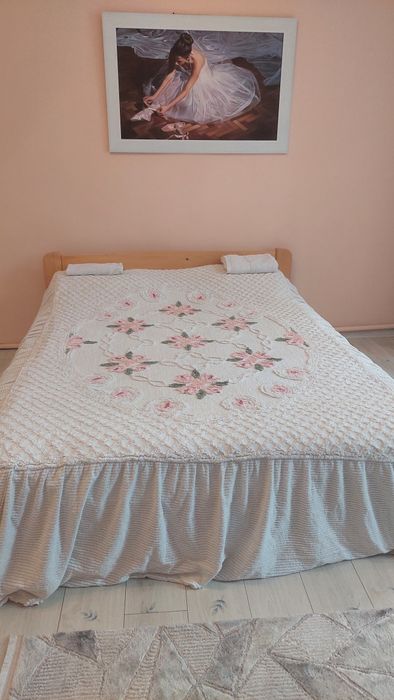 Подобово 1 кімнатна квартира в  центрі  -вул. О. Кобилянської,