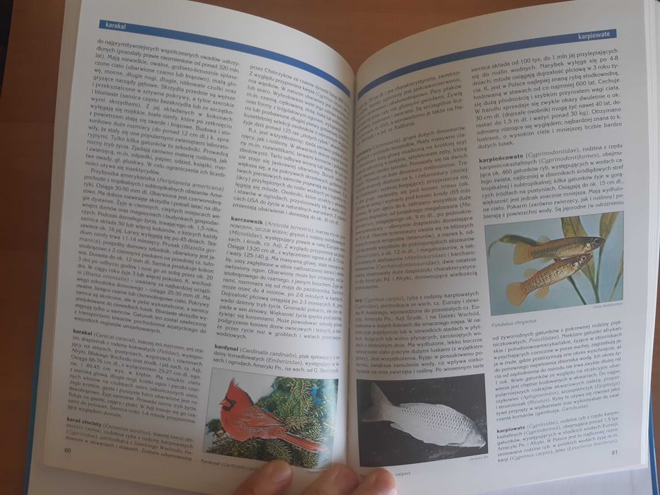 Encyklopedia Britannica Zoologia 160 str.