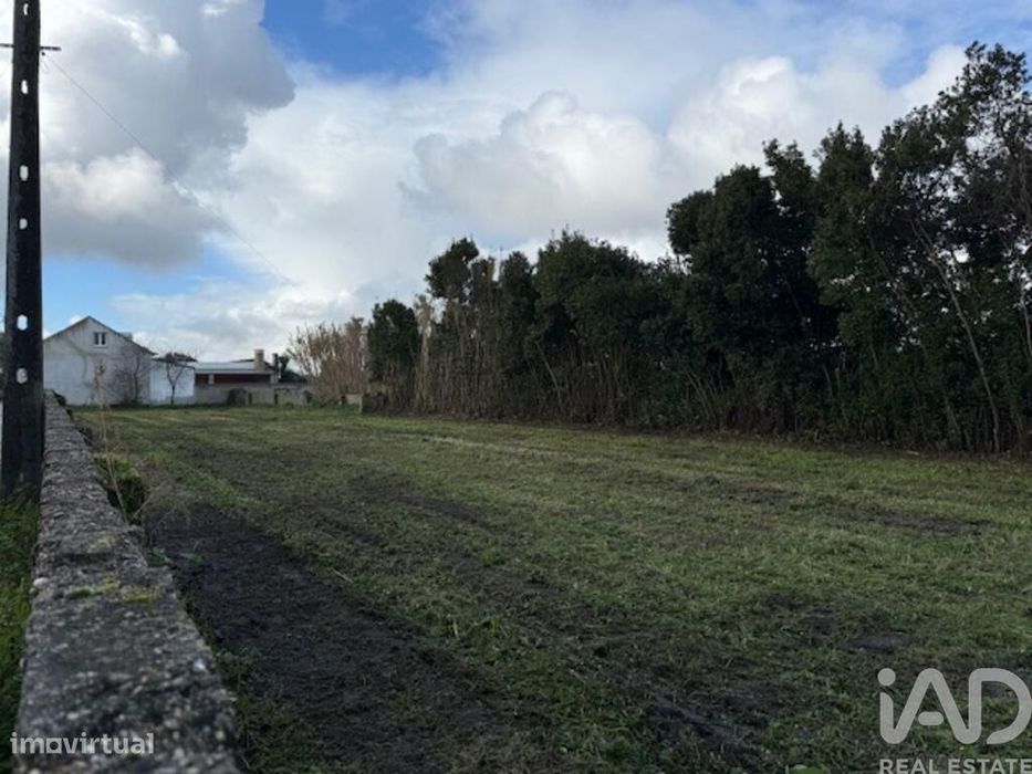 Terreno em Monte Real e Carvide