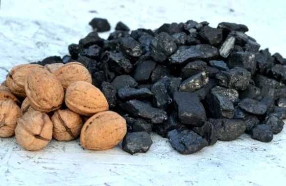 Брикети • вугілля • пелети — постачання, яке легко масштабувати