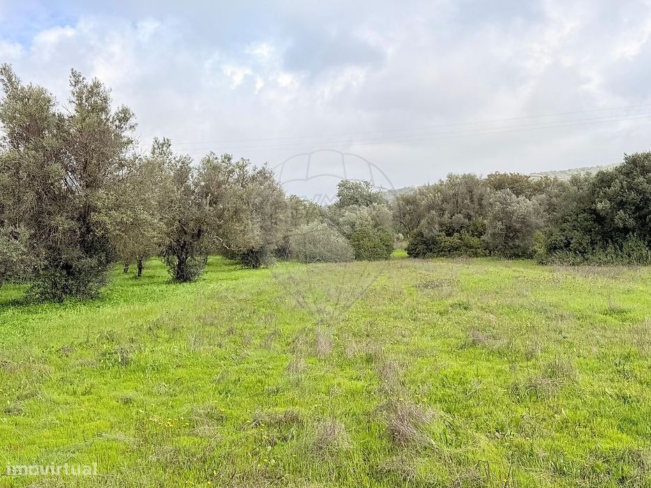 Terreno  para venda — Ferreiras, Faro