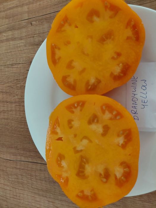 Nasiona pomidorów i papryk kolekcjonerskie.